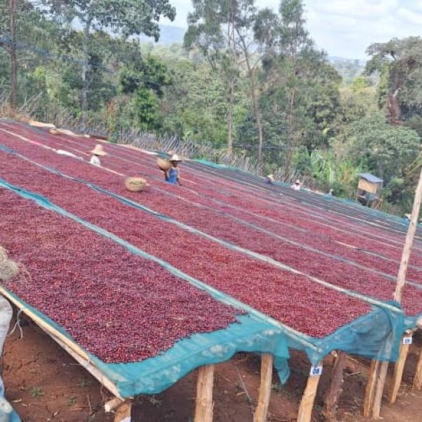 Sustainable Farms and Cultivation Practices